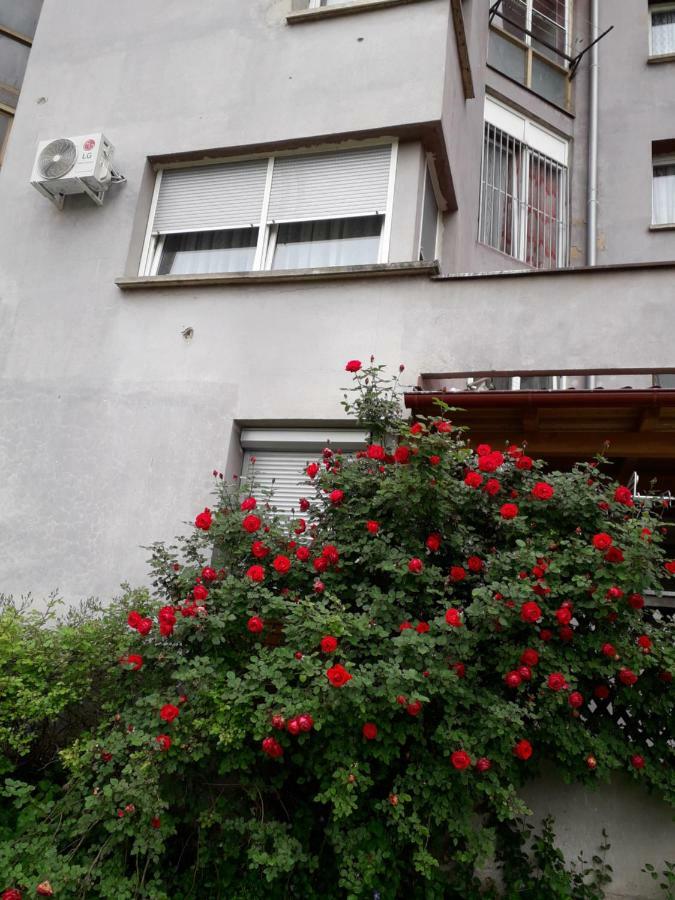 Apartments Lela Bihać Eksteriør billede